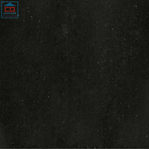 Gạch lát nền Taicera Double Loading series P67319N