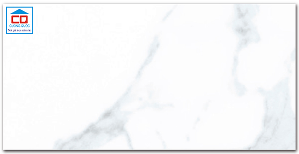 Gạch lát nền Vietceramics Marble 6 - 612CF6204PS