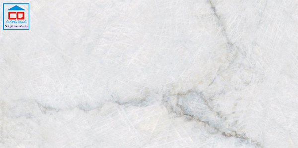 Gạch lát nền porcelain Vietceramics 612E0E5