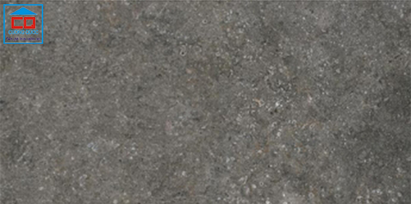 Gạch lát nền Vietceramics dParvati 36AGT635602R