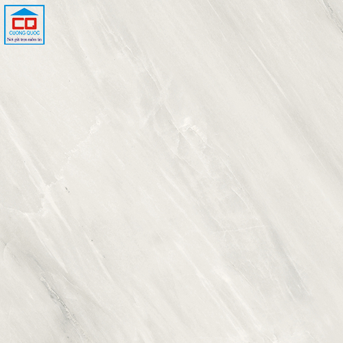 Gạch lát nền Vietceramics 60GS66116