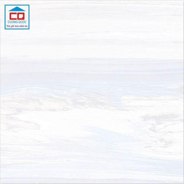 Gạch lát nền Vietceramics nhập khẩu Malaysia 60x60 EVOLUTION 600SG4E1D