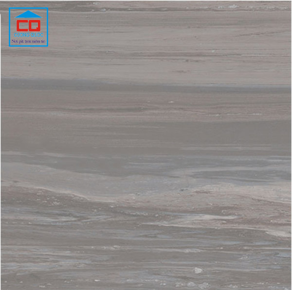 Gạch lát nền Vietceramics nhập khẩu Malaysia 60x60 EVOLUTION 600SG4E3D