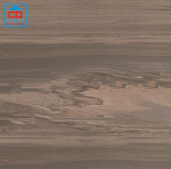 Gạch lát nền Vietceramics nhập khẩu Malaysia 60x60 EVOLUTION 600SG4E5D