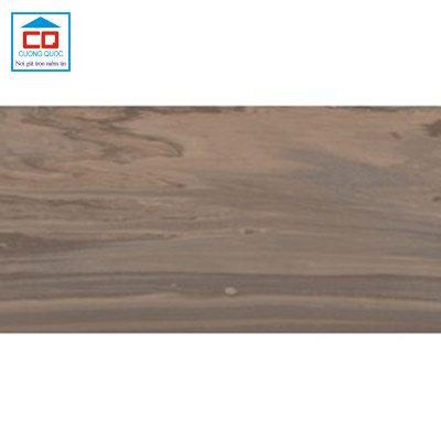 Gạch lát nền Vietceramics nhập khẩu Malaysia 30x60 EVOLUTION 36SG4E5D