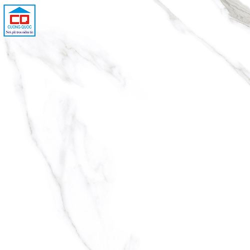 Gạch lát nền Vietceramics 120ARWH nhập khẩu Ấn Độ