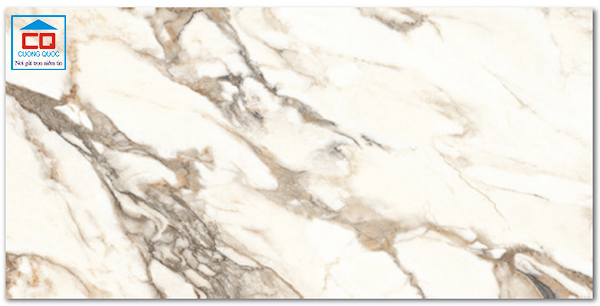Gạch lát sàn Vietceramics Ấn Độ 816CACAGR 