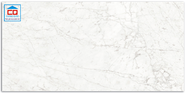 Gạch lát nền 80x160 Vietceramics 816CAGEGR