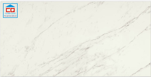 Gạch lát nền Vietceramics nhập khẩu ITALY 60x120 DREAMING 612LGXETV93