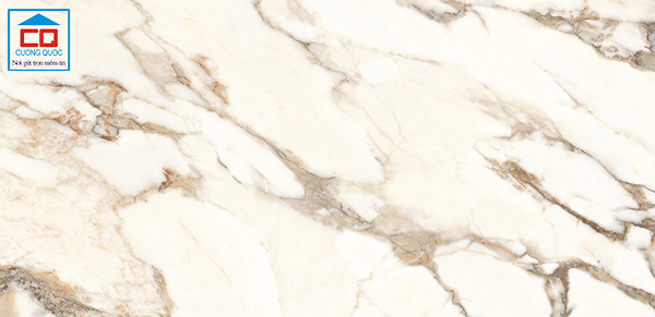 Gạch nhập khẩu Ấn Độ 80x160 Vietceramics 816CABRGR