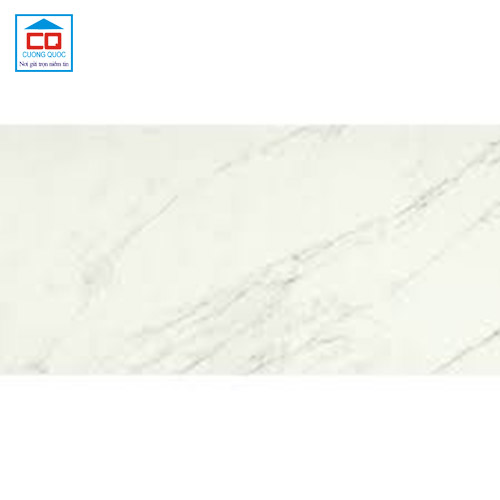 Gạch lát nền Vietceramics nhập khẩu ITALY 60x120 DREAMING 612CASHVE (Hết hàng)