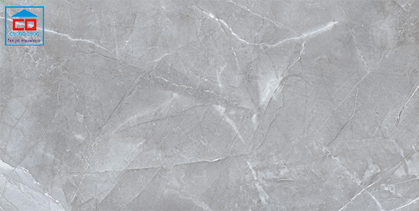 Gạch nhập khẩu Ấn Độ 80x160 Vietceramics 816ARGRGR