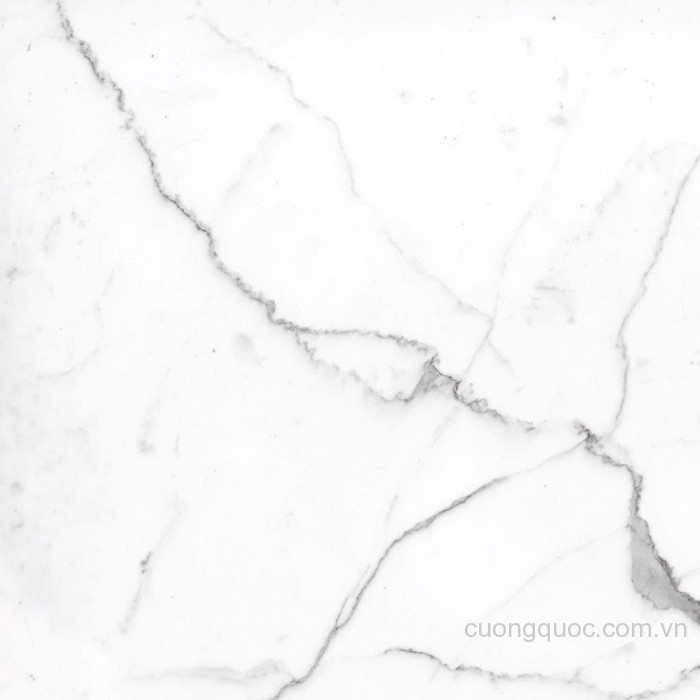 Gạch lát nền Vietceramics 120MAVAST vân đá marble