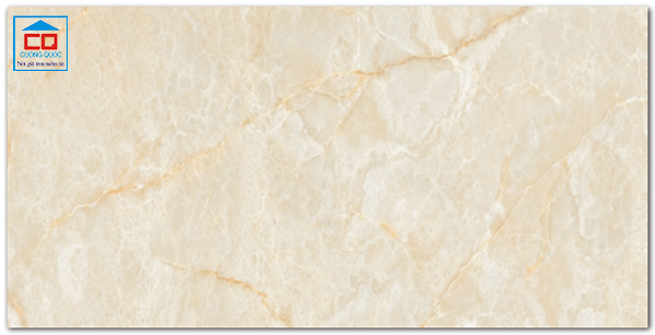 Gạch ốp lát Vietceramics Marble Ấn Độ 612DOON