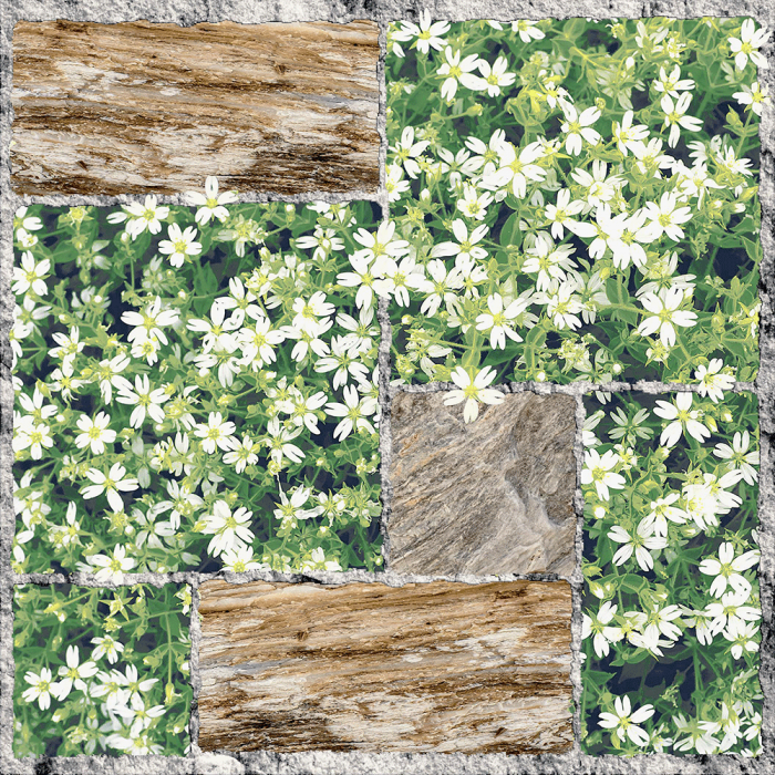 Gạch sân vườn 500x500 Viglacera SA505