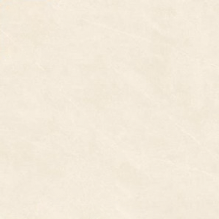 Gạch lát nền 600x600 Arizona VGC-AZ8-GM6604