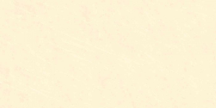 Gạch ốp lát Đồng Tâm 3060GECKO007 chính hãng