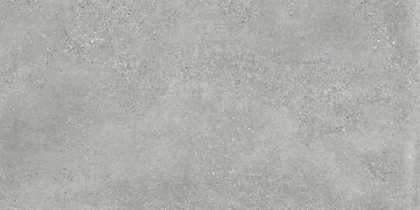 Gạch ốp lát Đồng Tâm 3060GECKO008 chính hãng