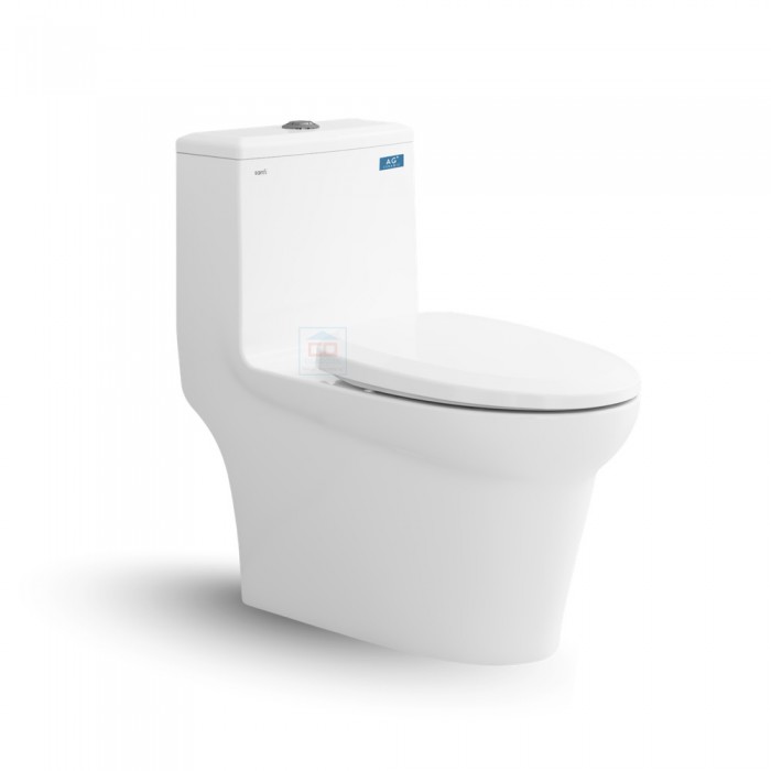 Bồn cầu một khối Sanfi S306