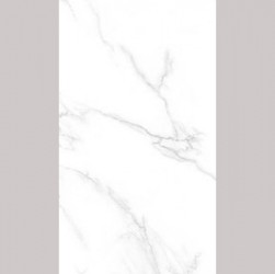 Gạch ốp tường Ceramic Bạch Mã WG3902