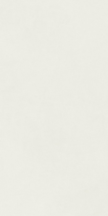 Gạch ốp lát nhập khẩu 600x1200mm ST12639