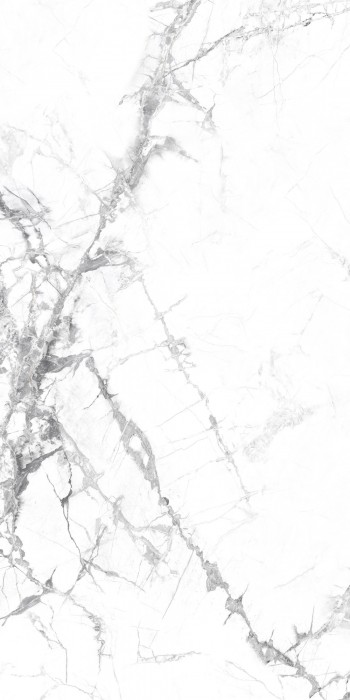 Gạch ốp lát nhập khẩu 600x1200mm FL126P1