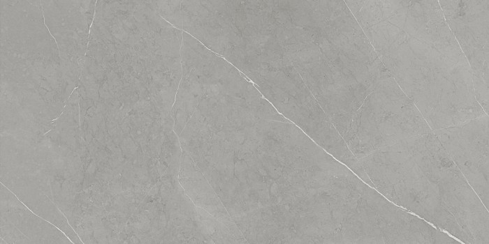 Gạch ốp lát nhập khẩu 600x1200mm FL126MS4