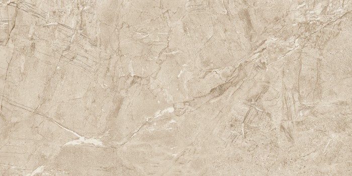 Gạch ốp lát nhập khẩu 600x1200mm V126J939P