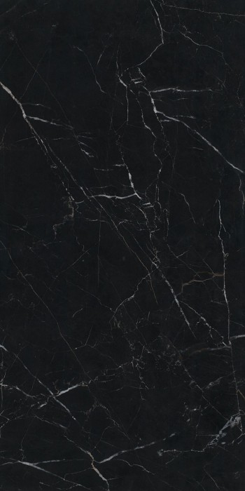 Gạch ốp lát nhập khẩu 600x1200mm C121J572P