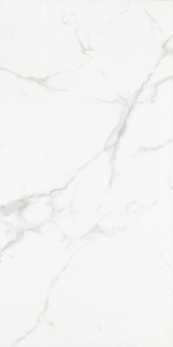 Gạch ốp lát nhập khẩu 600x1200mm C121J508P