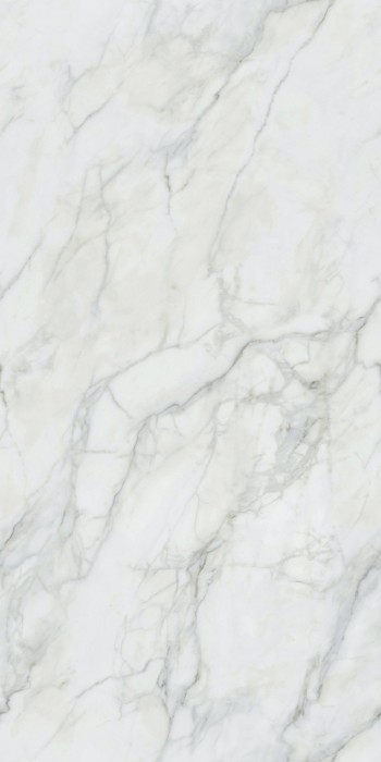 Gạch ốp lát nhập khẩu 600x1200mm C121J590