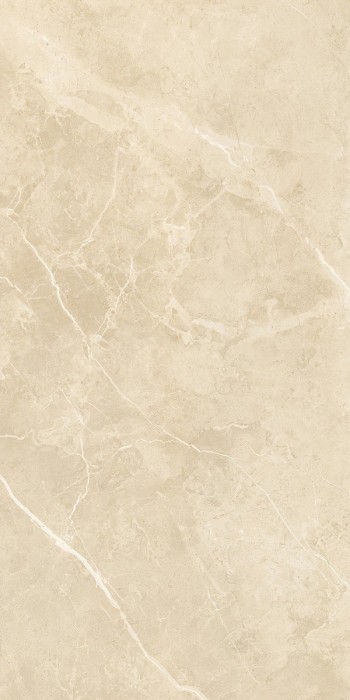 Gạch ốp lát cao cấp nhập khẩu 600x1200mm C121J275P