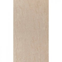 Gạch ốp tường Ceramic Bạch Mã WG39007