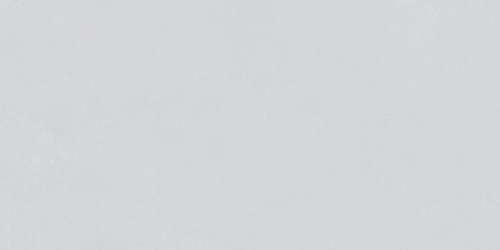 Gạch ốp lát nhập khẩu 400x800mm ST48019L