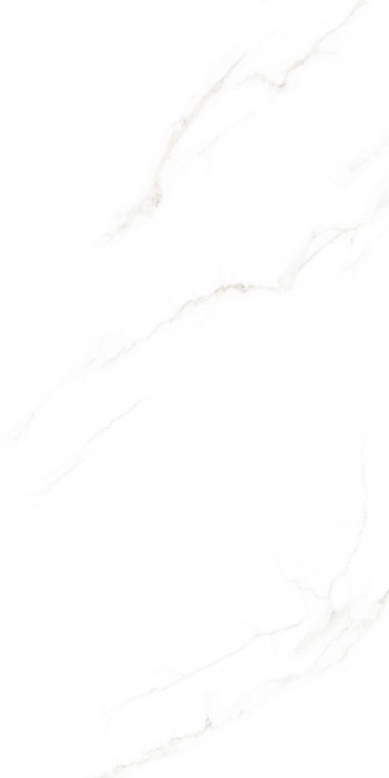 Gạch khổ lớn Trường Thịnh 600x1200mm TT12617M