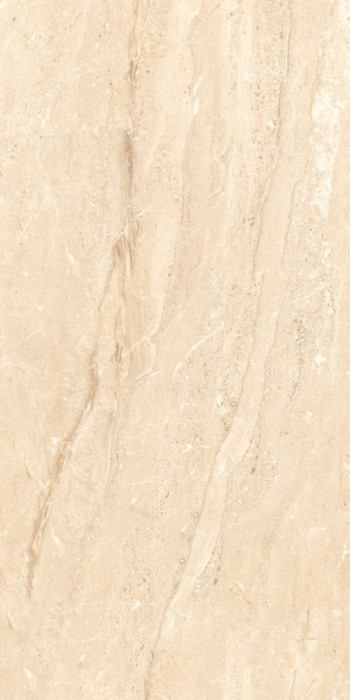 Gạch khổ lớn Trường Thịnh 600x1200mm TT12623