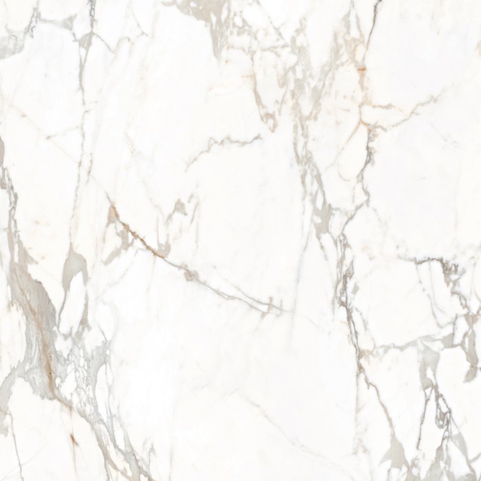 Gạch lát nền Trường Thịnh 800x800mm TT88061IN