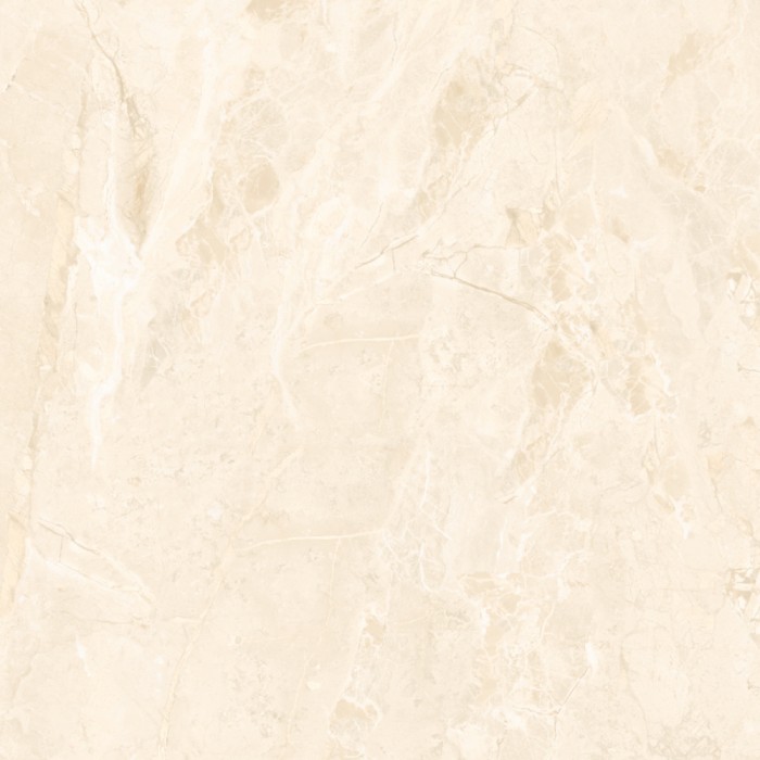 Gạch lát nền Trường Thịnh 800x800mm TT88063IN