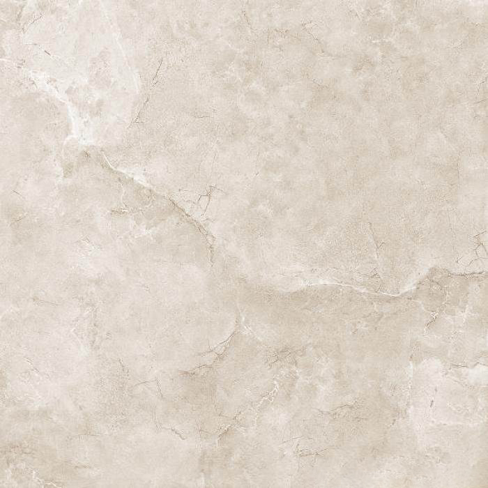 Gạch lát nền Trường Thịnh 600x600mm TT6038