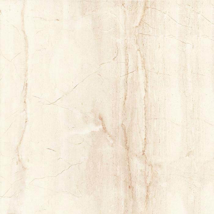 Gạch lát nền Trường Thịnh 600x600mm TT66015