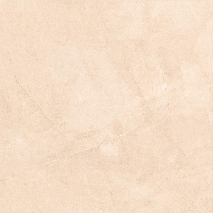 Gạch lát nền Trường Thịnh 600x600mm TT66016