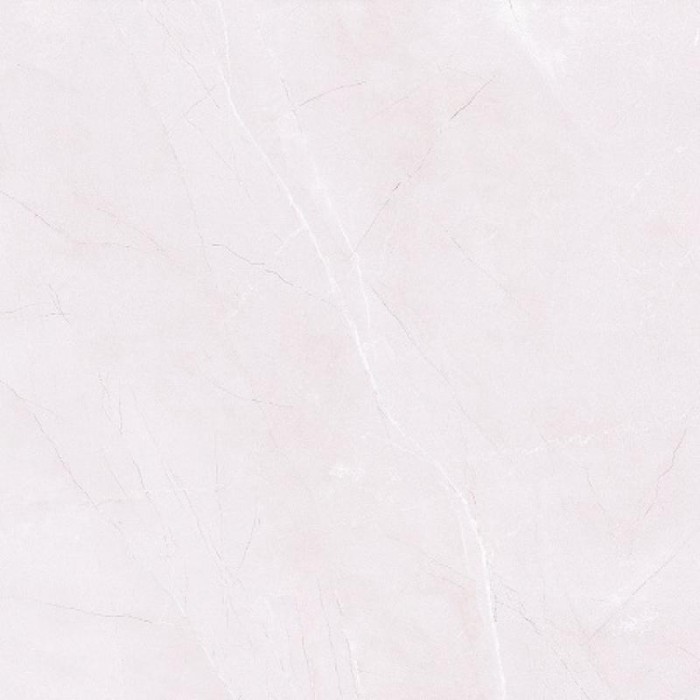 Gạch lát nền Trường Thịnh 600x600mm TT66020