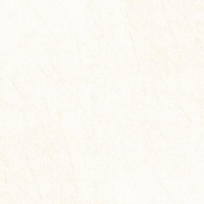 Gạch lát nền Trường Thịnh 600x600mm TT66915