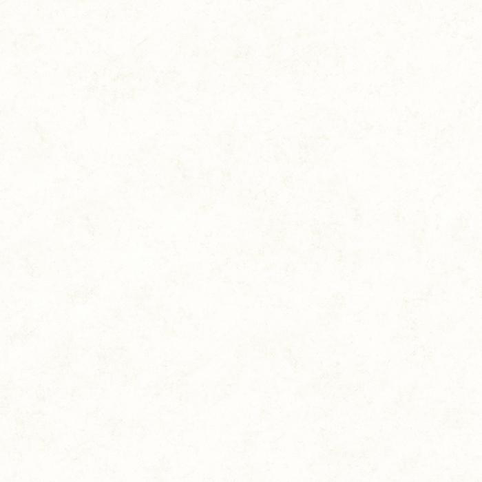 Gạch lát nền Trường Thịnh 600x600mm TT66151