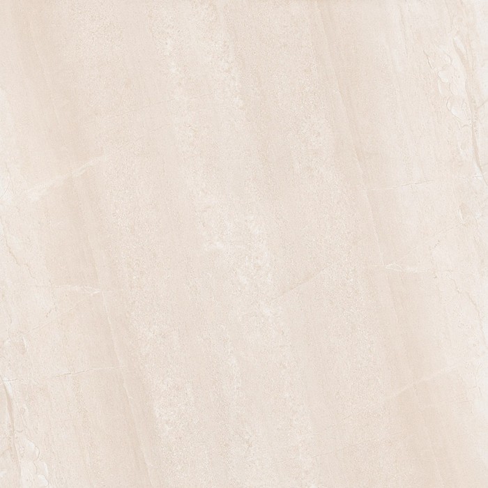 Gạch lát nền Trường Thịnh 600x600mm TT66139