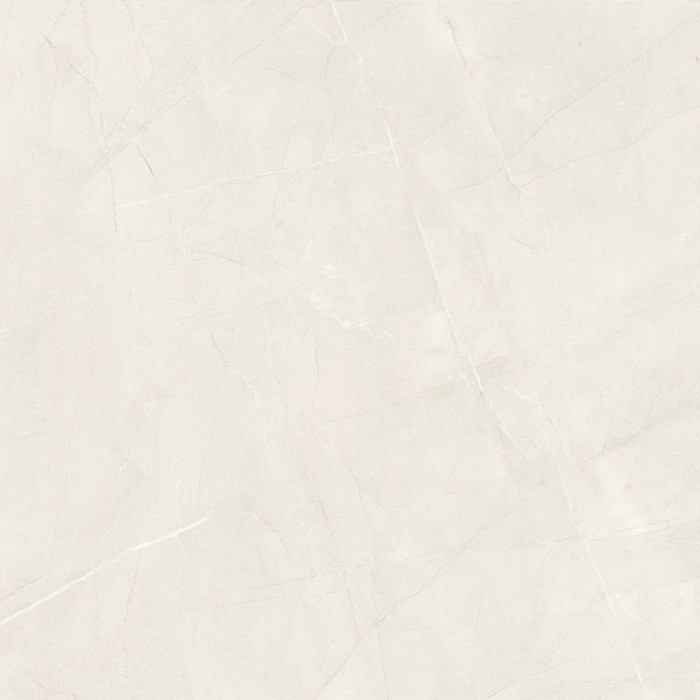 Gạch lát nền Trường Thịnh 600x600mm TT66166