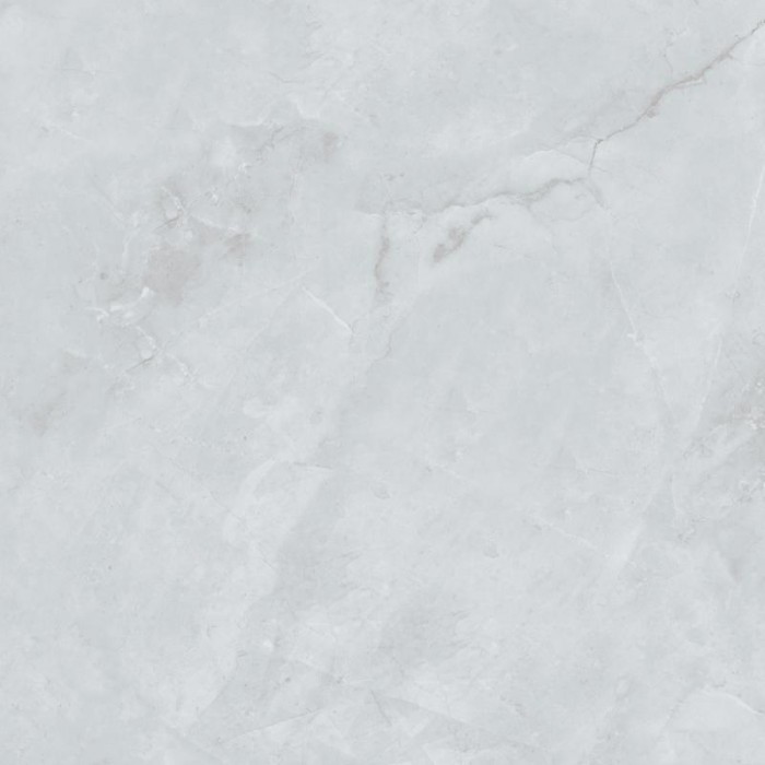 Gạch lát nền Trường Thịnh 600x600mm TT66194