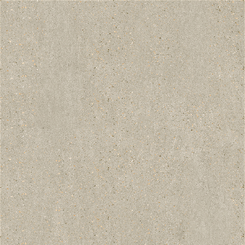 Gạch lát nền Trường Thịnh 600x600mm TT66195