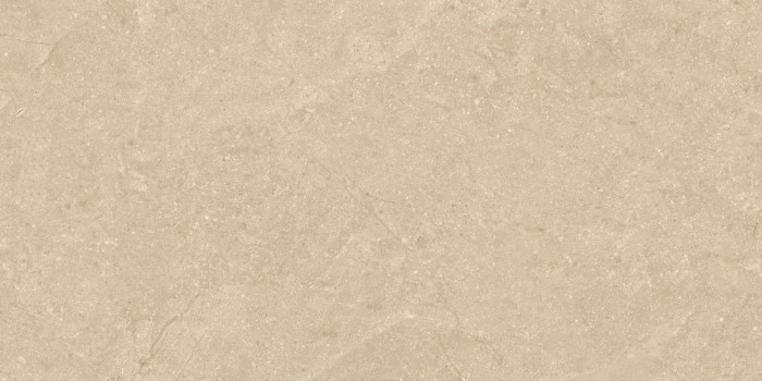 Gạch ốp lát Trường Thịnh 30x60cm TT36187