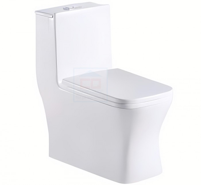 Bồn cầu một khối Riba RB 3007